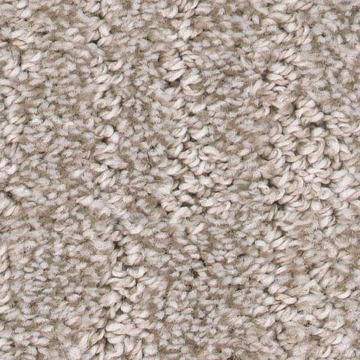 Carpet | BTM Flooring